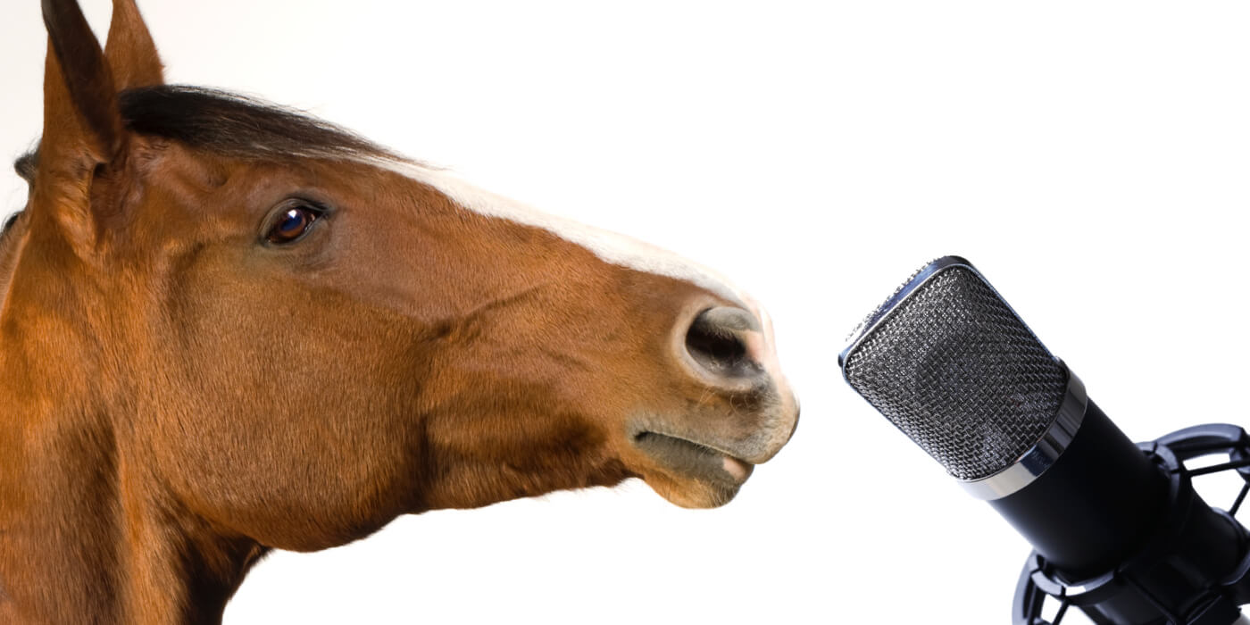 Learn Neighspeak: Discover the Equine Language of Podcasts with Our Translation Guide