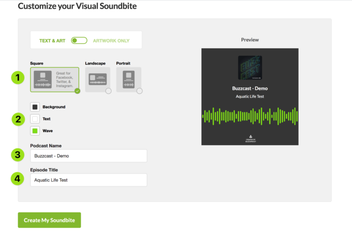 buzzsprout audiogram making example